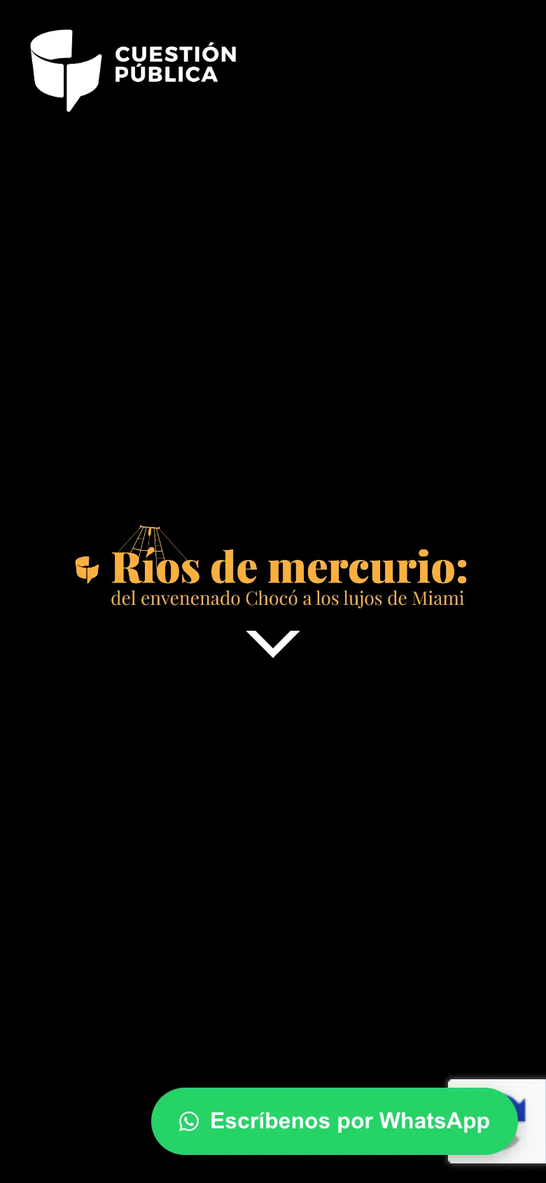 Cuestión Pública – Ríos de mercurio, image 2