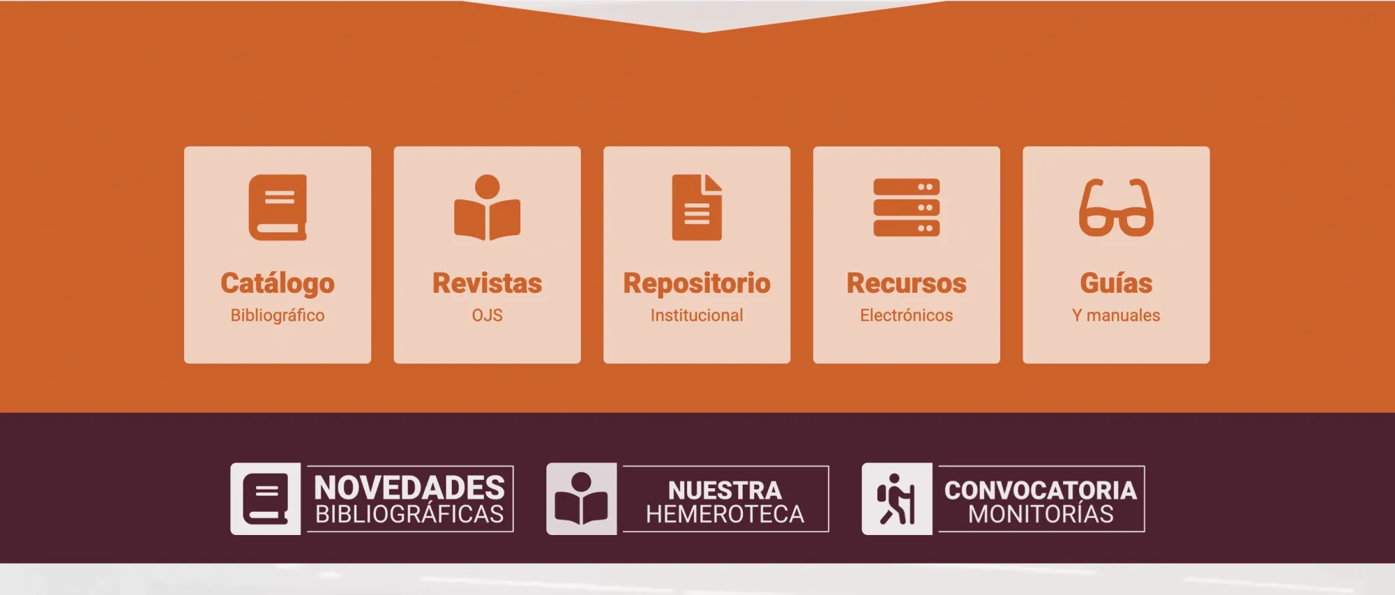 La Patria / Editorial Project, image 4